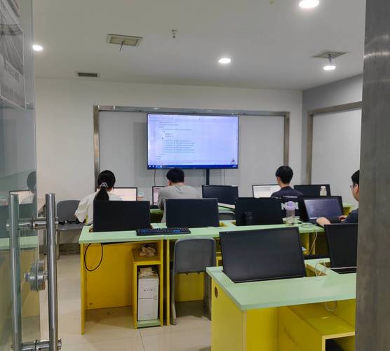 it技能是什么